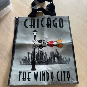 Rare - Disney Store Chicago Flagship Shopping Bag